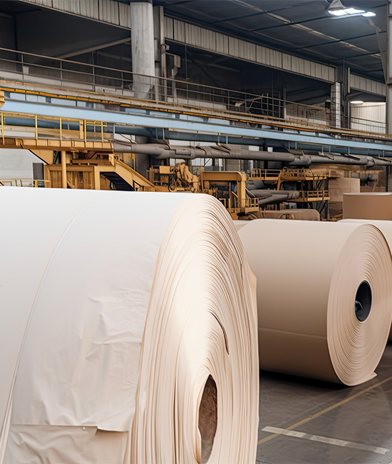 Sushil Enterprises Pvt. Ltd